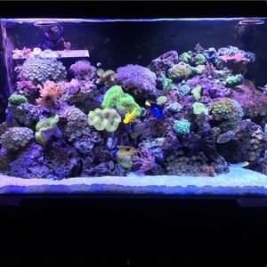 Meet your Posher, Josh